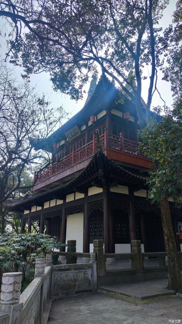 无休止的树
