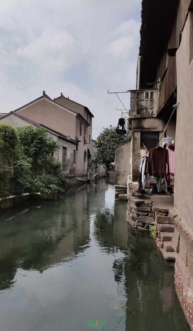 暑期租车自驾游需求旺，“遛娃”经济适用车型热度翻倍，这成为一种趋势吗？游戏画面